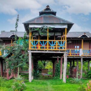 Chilapata Forest homestay, Hotel Booking